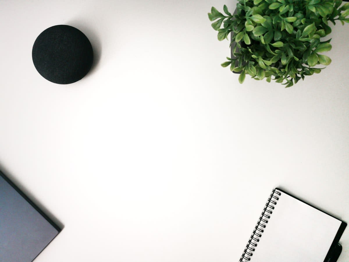 Minimalist workspace with a notebook and a plant, no phone visible