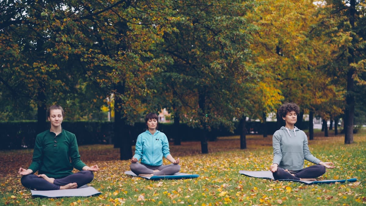 Person meditating in a serene environment
