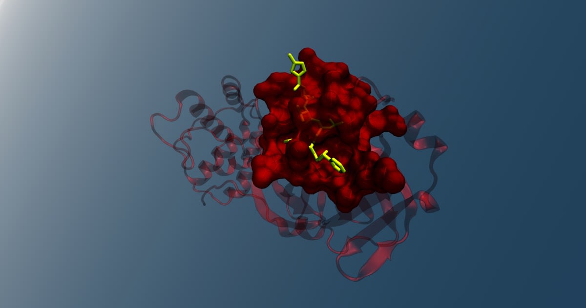 Diagram showing the flow from DNA to RNA to Protein to Metabolite