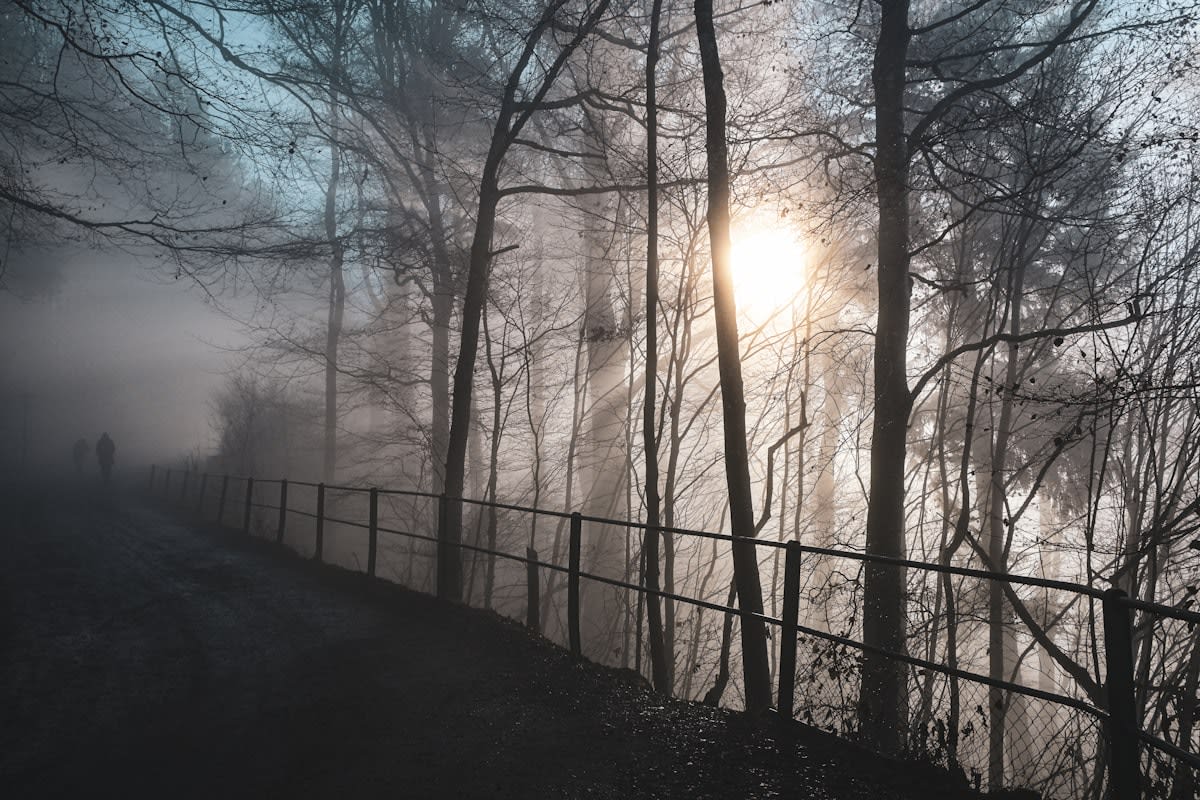 Person standing in morning sunlight