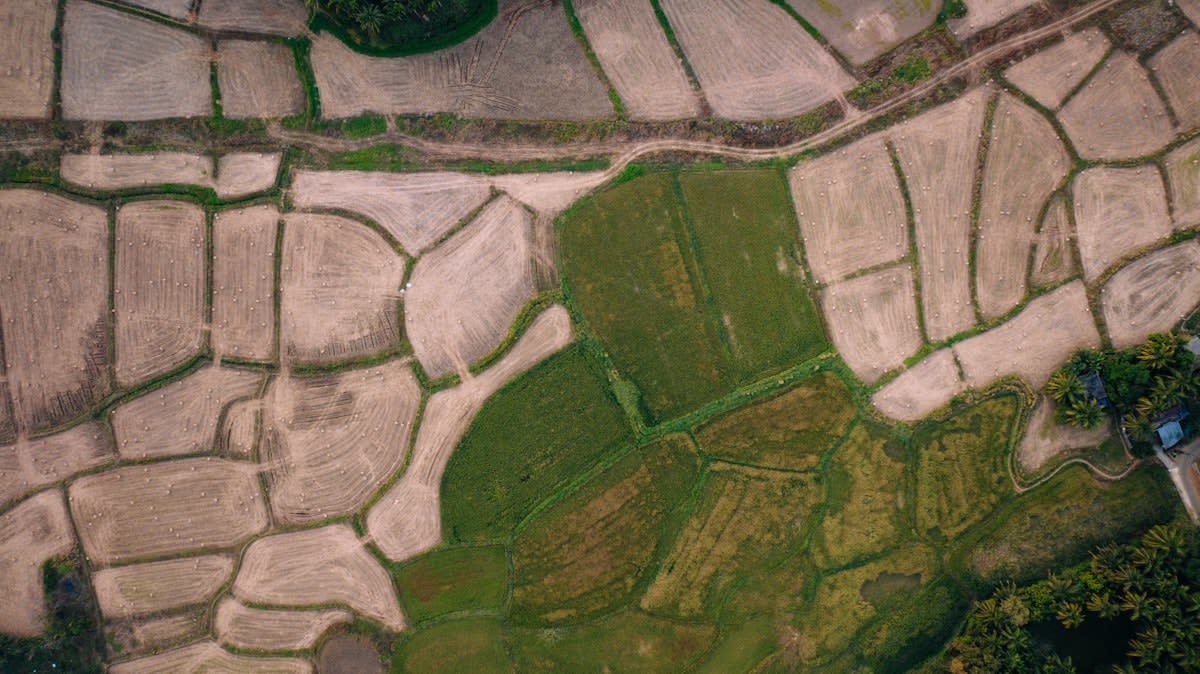 Aerial view of salt-affected agricultural land with patches of green crops