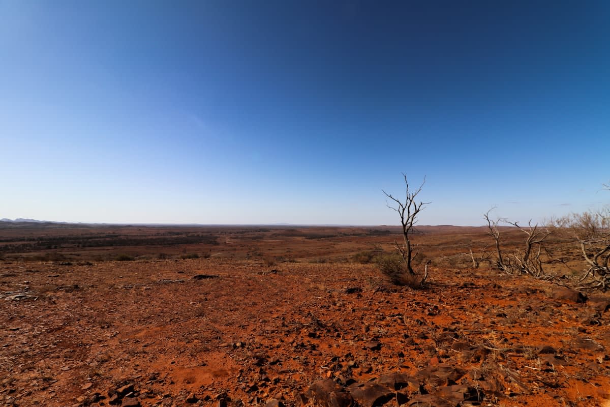 Wide shot of Australian outback grazing land