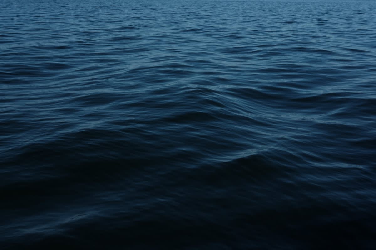 Deep sea sonar visualization