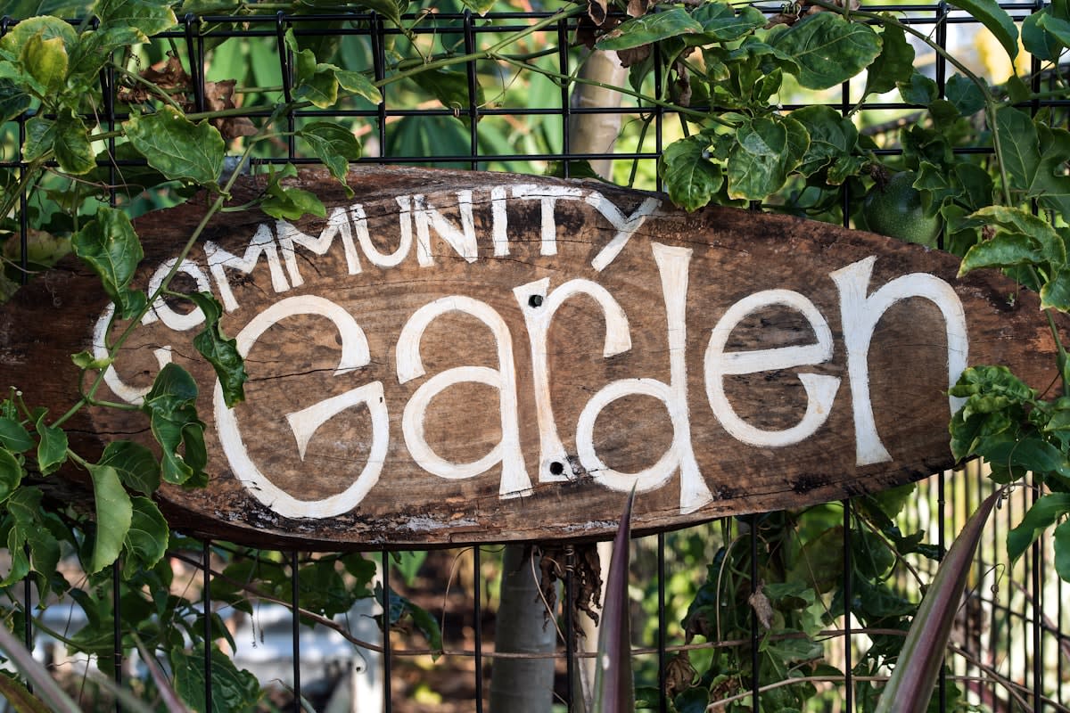 a community garden project with diverse people