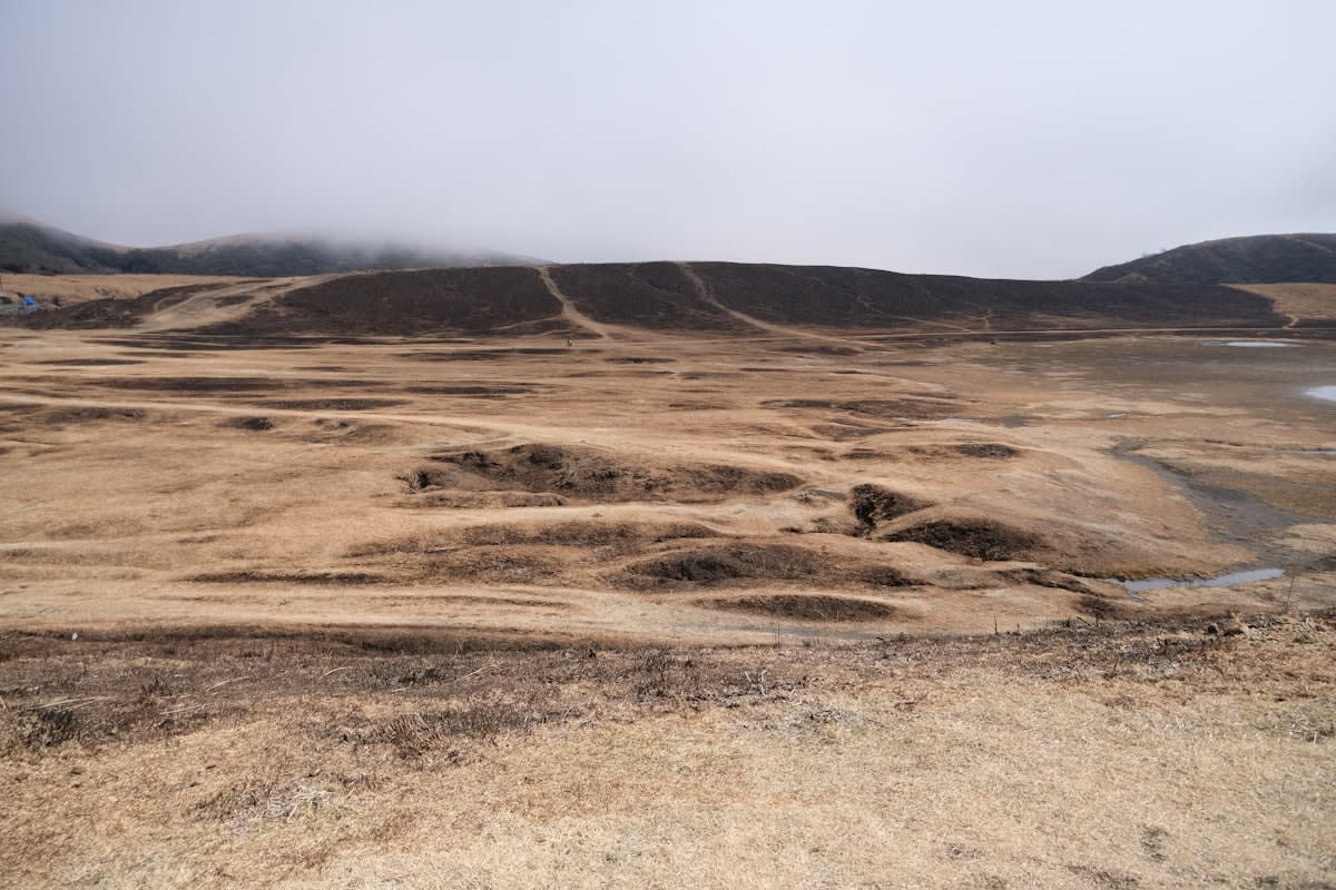 Dried riverbed in a mountainous region