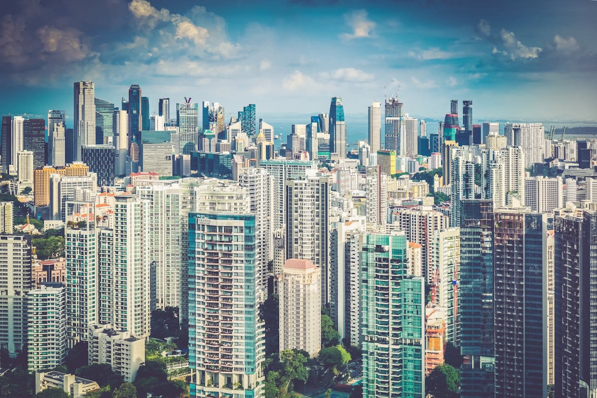 Aerial view of a dense urban micro-forest surrounded by skyscrapers