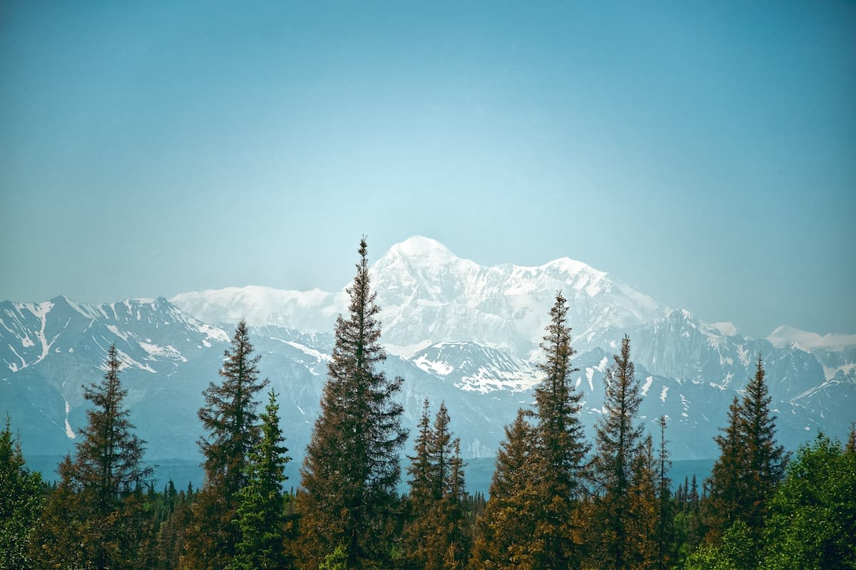High altitude mountain range with coniferous trees
