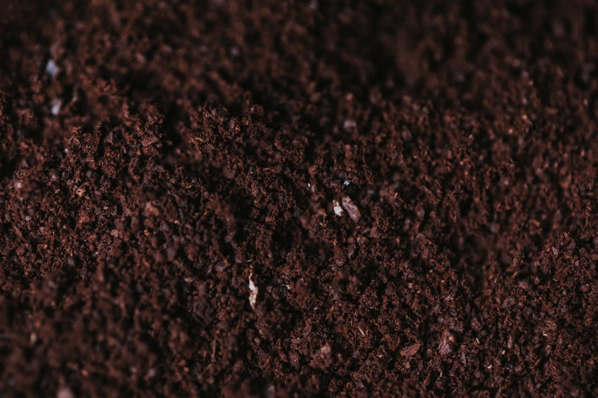 dark fertile soil with organic matter