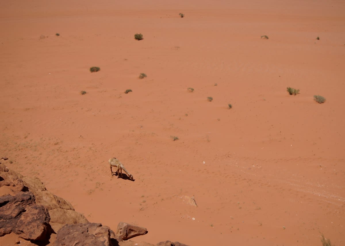 Satellite debris in a desert landscape