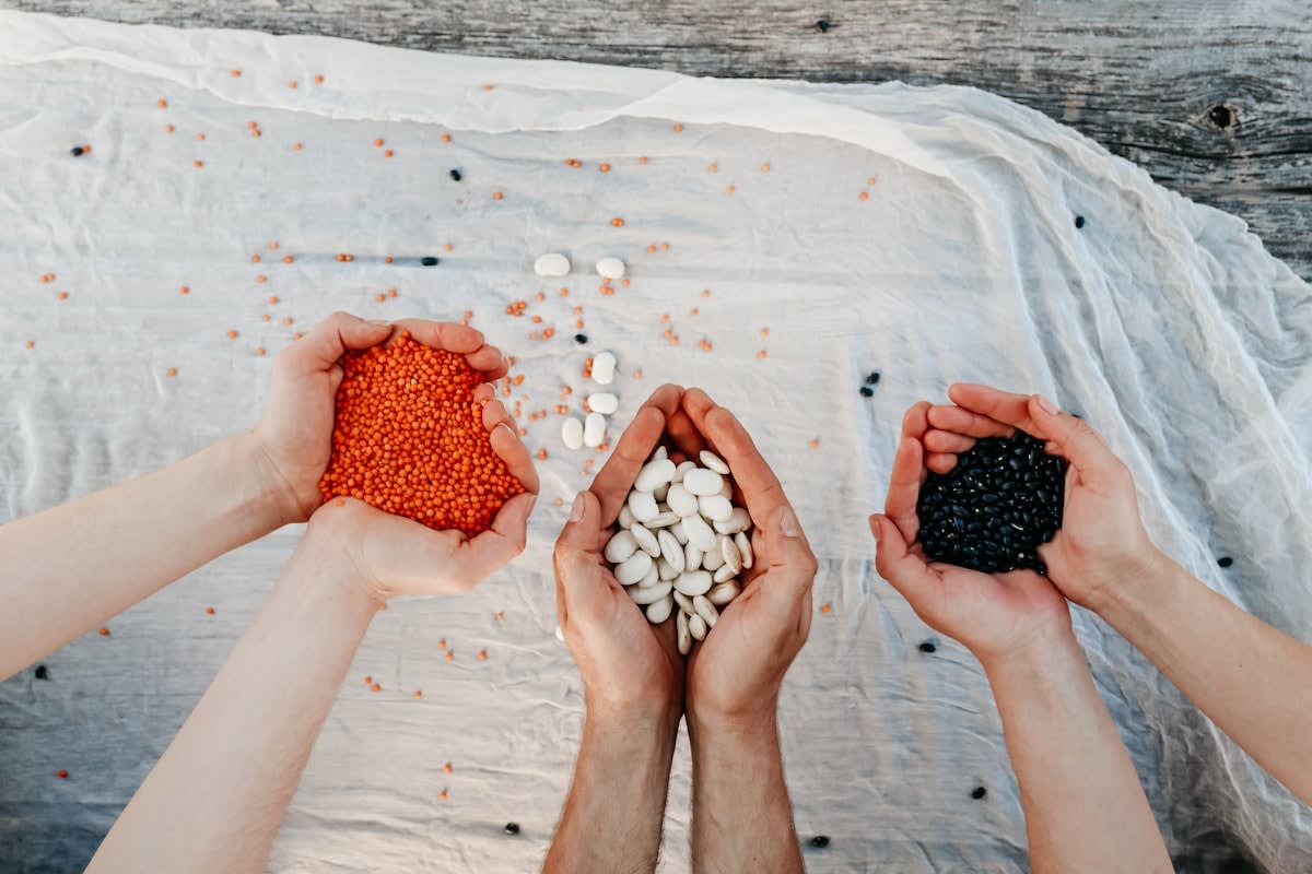 hands holding a variety of colorful heirloom seeds