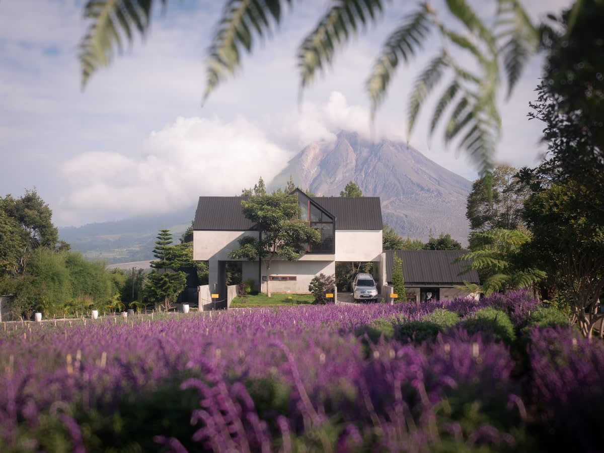 Fresh local produce from a volcanic region