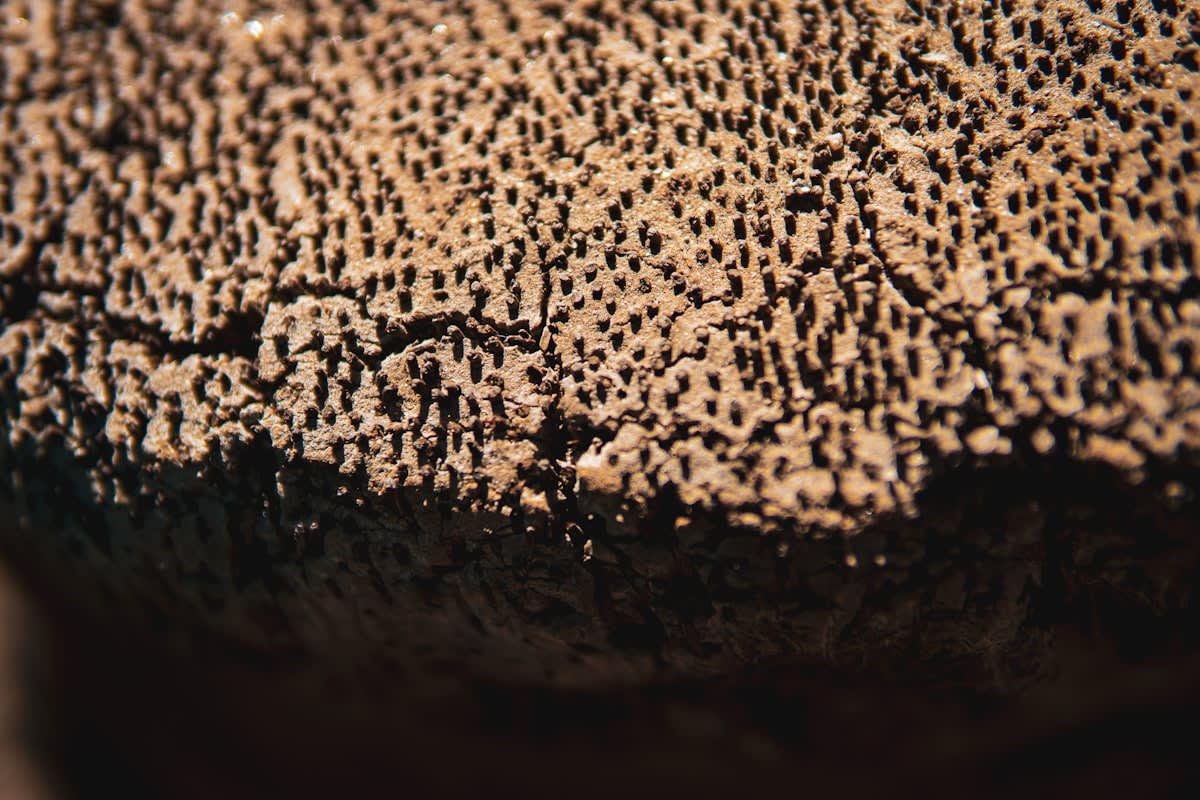 Detailed close up of a textured surface