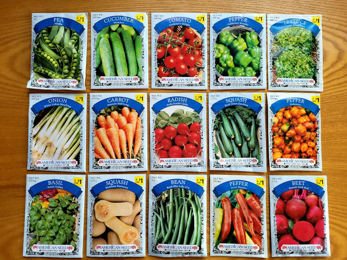 Diverse seed varieties in a traditional seed bank