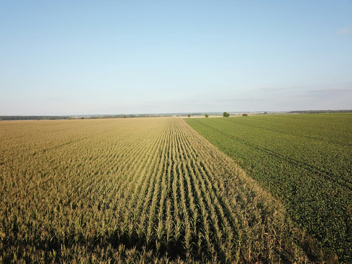 Aerial view of regenerative farm with diverse cover crops