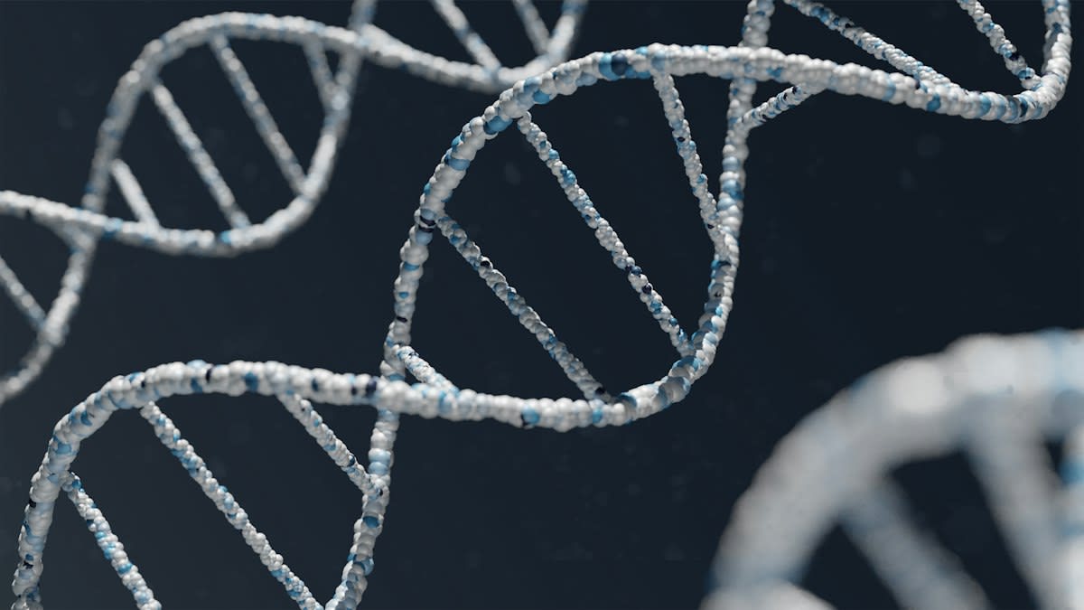 DNA double helix visualization