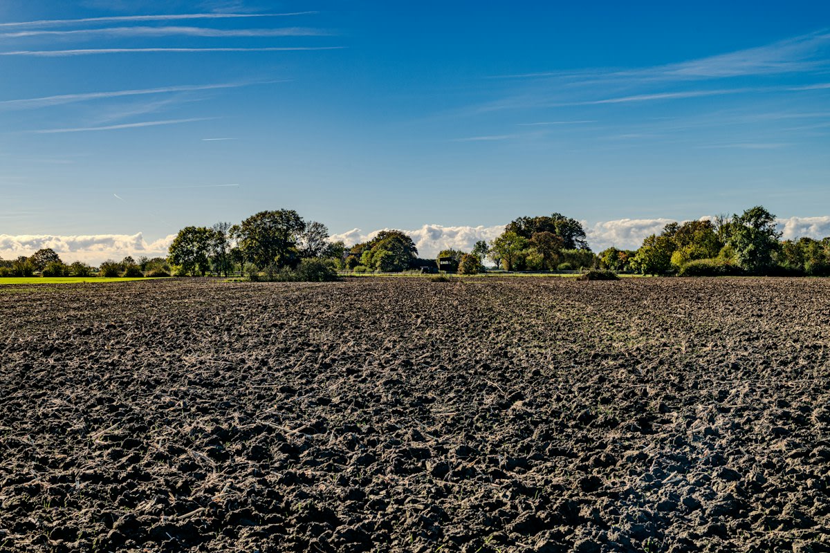 Dried cracked soil in an agricultural field