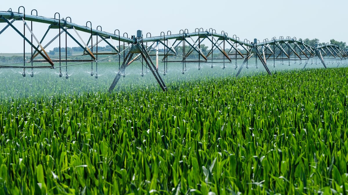 Lush green field with modern irrigation