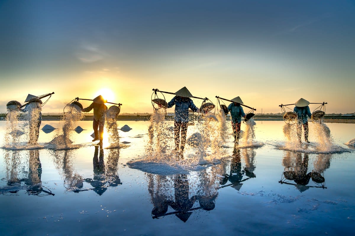Saltwater intrusion in Vietnamese farmland
