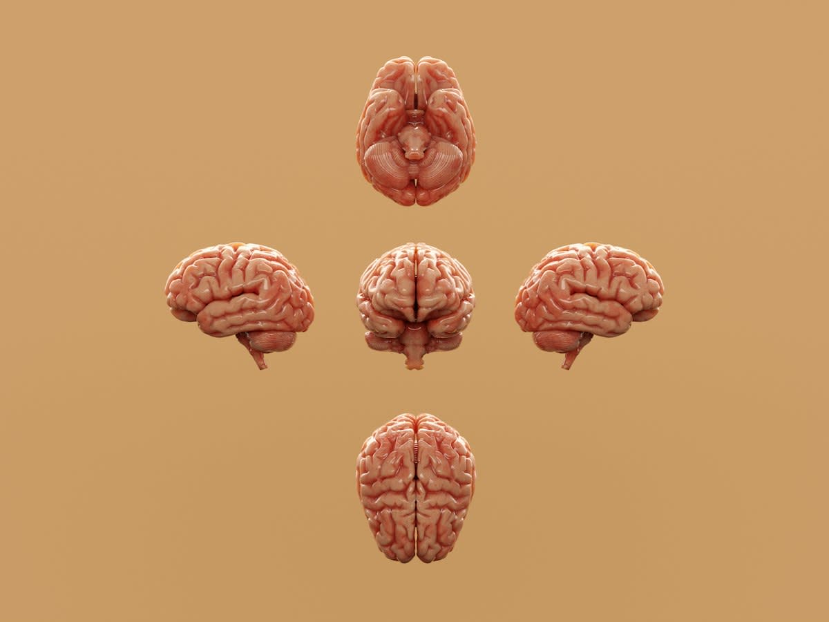 High tech medical monitoring of nervous system