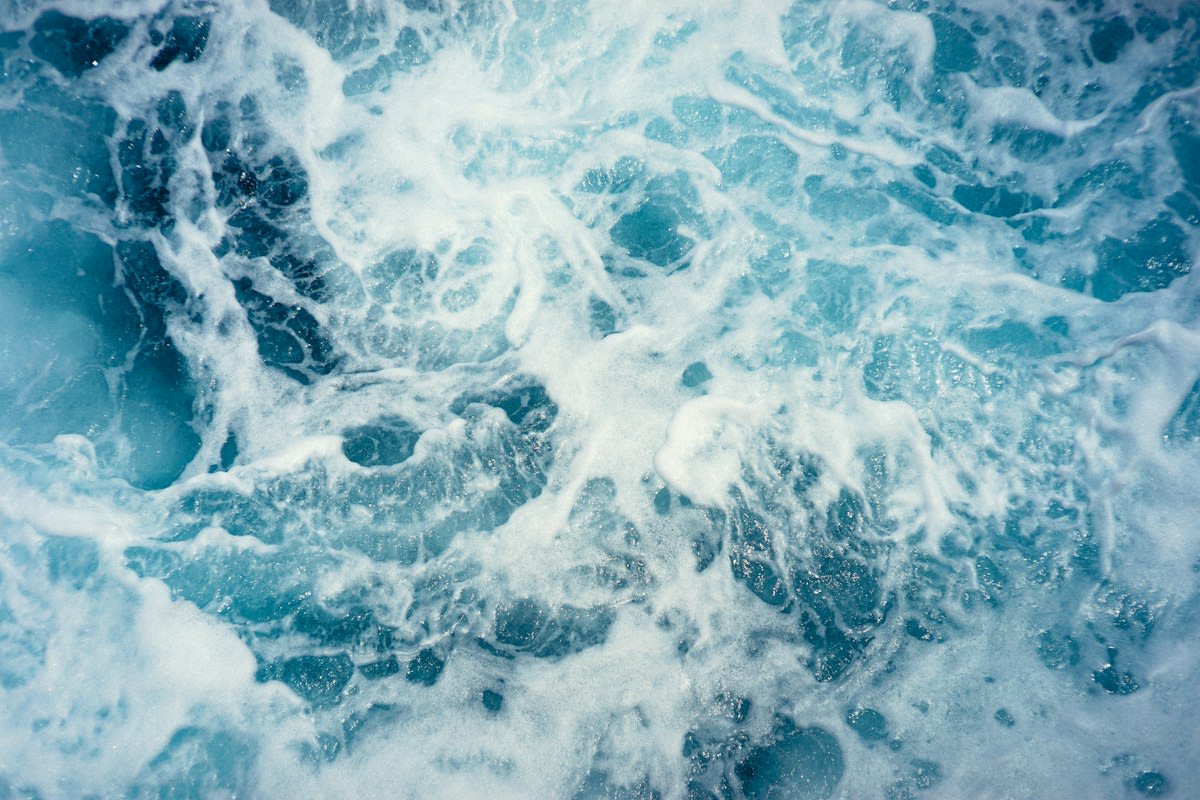 Digital global network of ocean currents