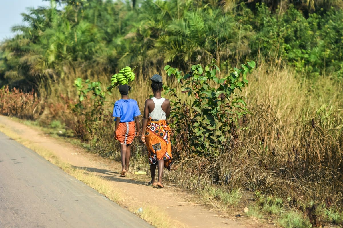 Cocoa pods in West Africa
