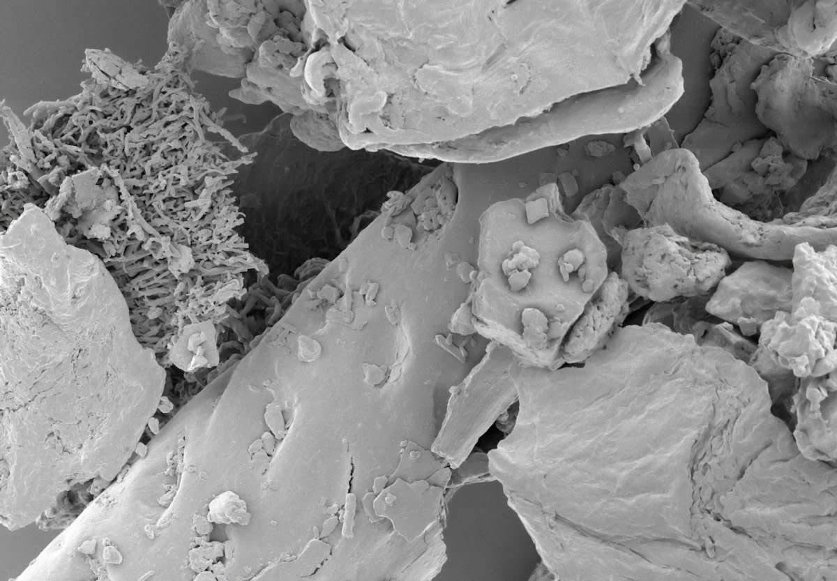 Scanning electron microscope view of pulverized silicon particles
