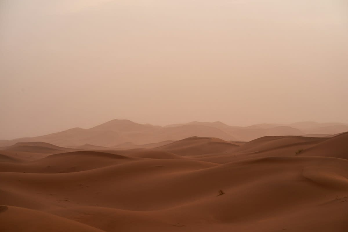 Namibian desert fog landscape