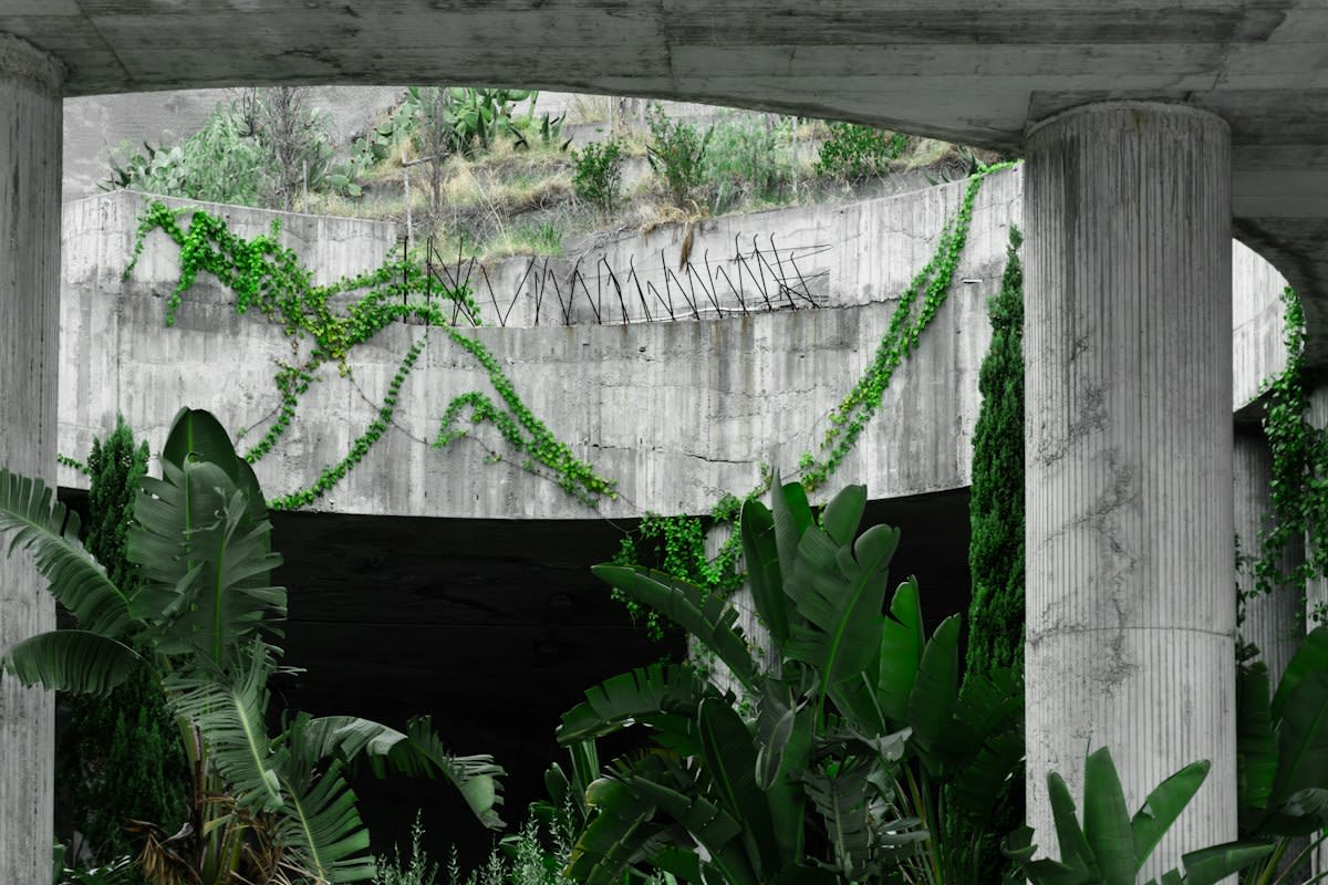 Close up of concrete and plant integration