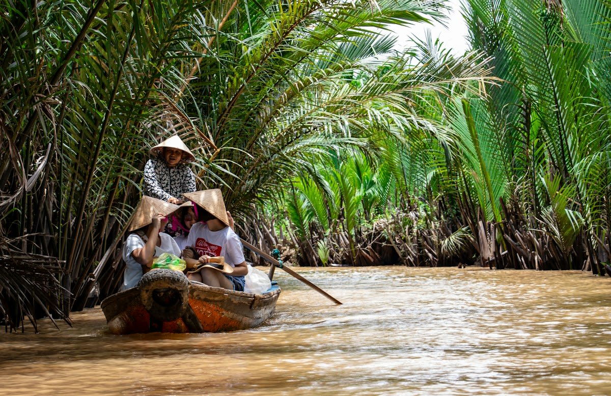 Rice paddies in Vietnam Mekong Delta