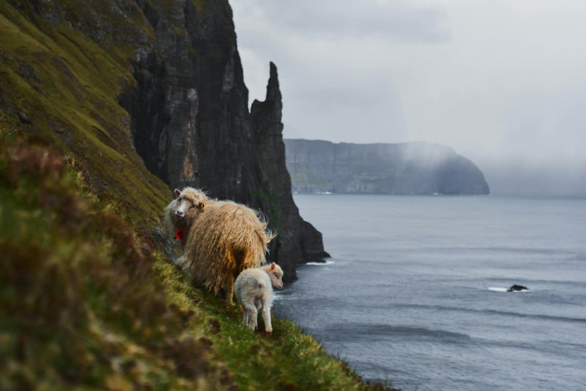 Faroe Islands dramatic cliffs