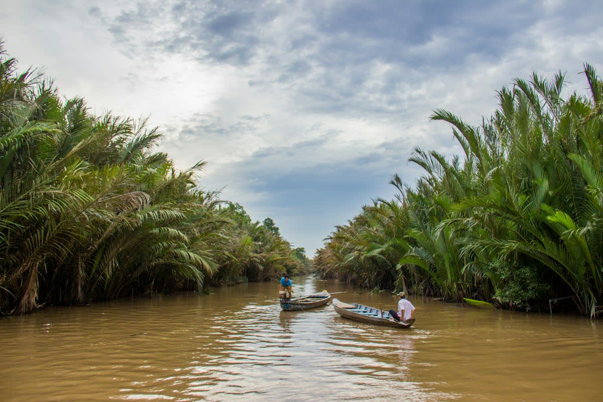 Mekong Delta saltwater intrusion landscape