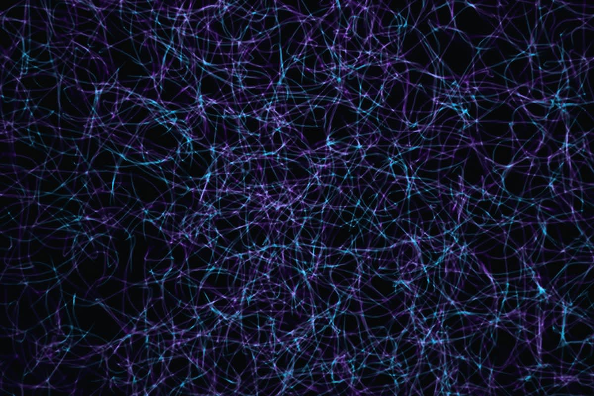 Medical neural mapping visualization