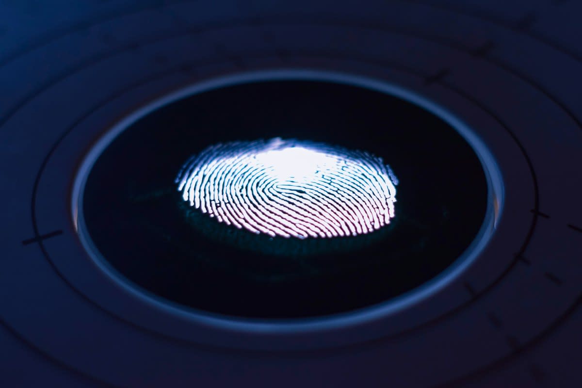 Biometric data on a screen