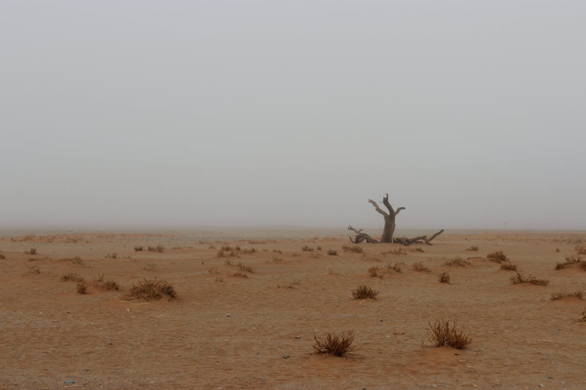 Namib desert fog mesh installation