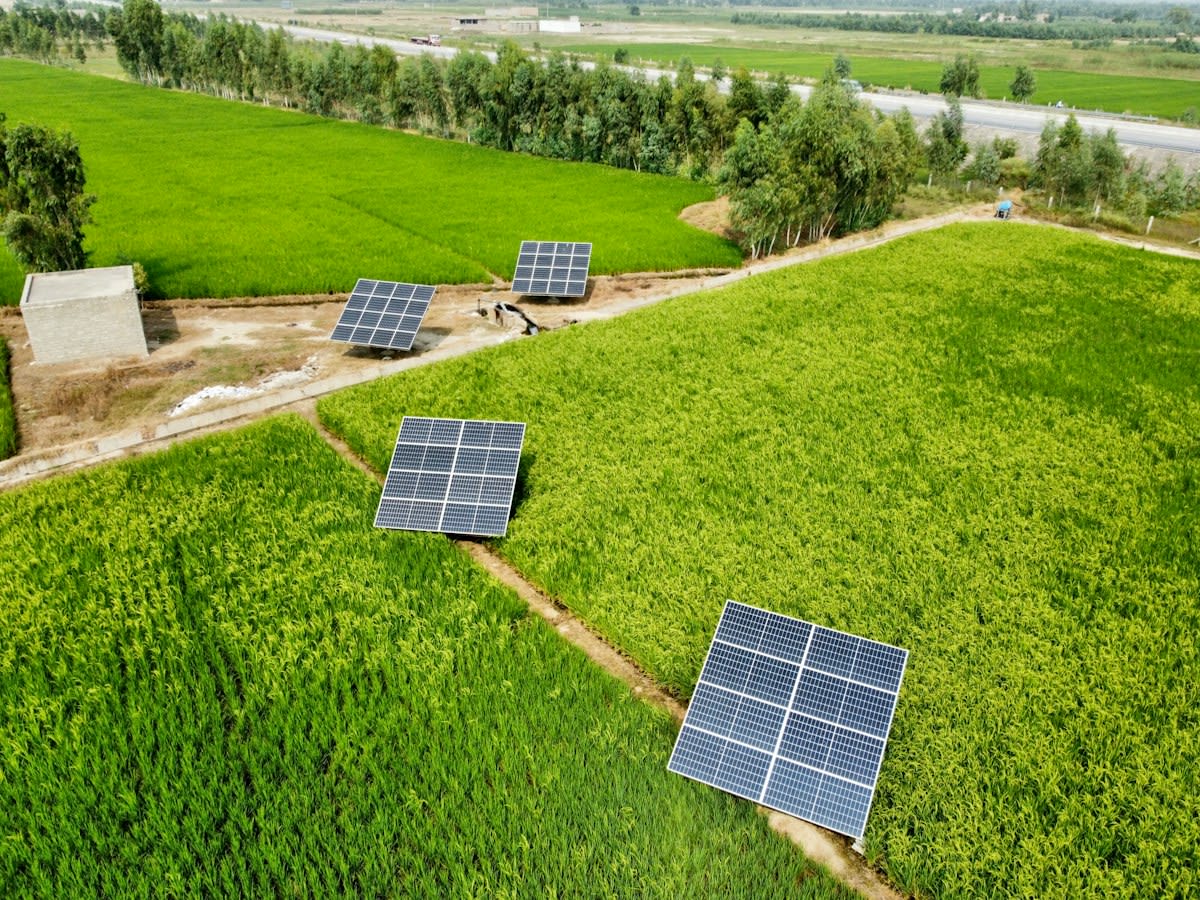 Arid farmland with solar panels and water collection systems