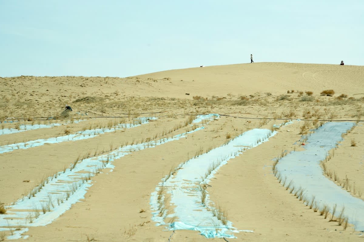 Dried irrigation channel in desert
