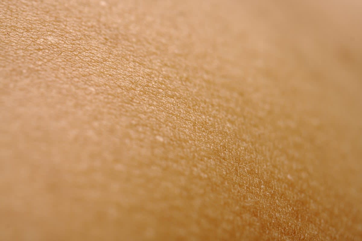 Close up of a medical sensor on skin