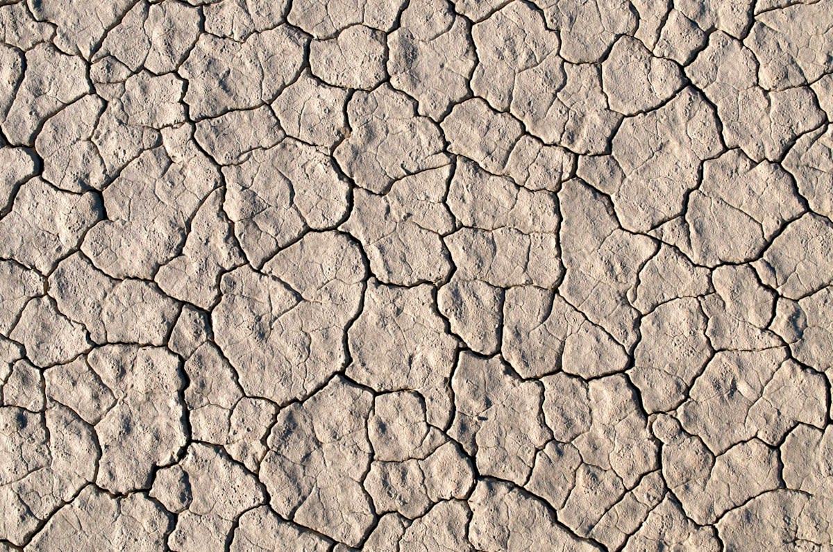 Dry cracked soil with salt crystals