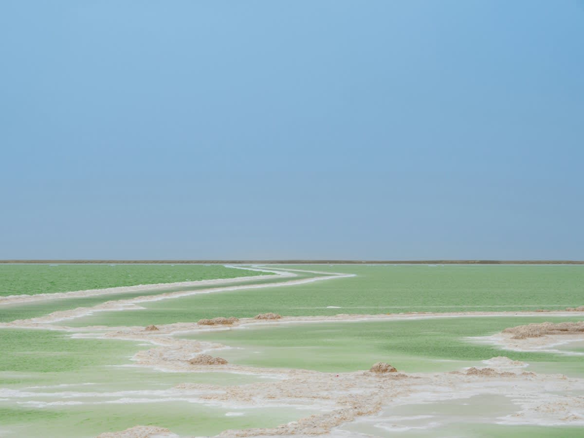 arid salt flats with sparse vegetation