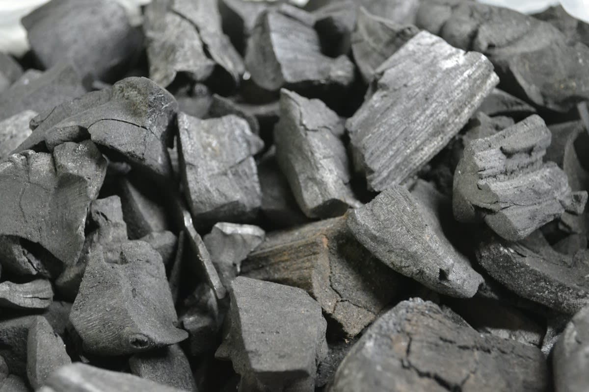 Black biochar charcoal pieces in hand