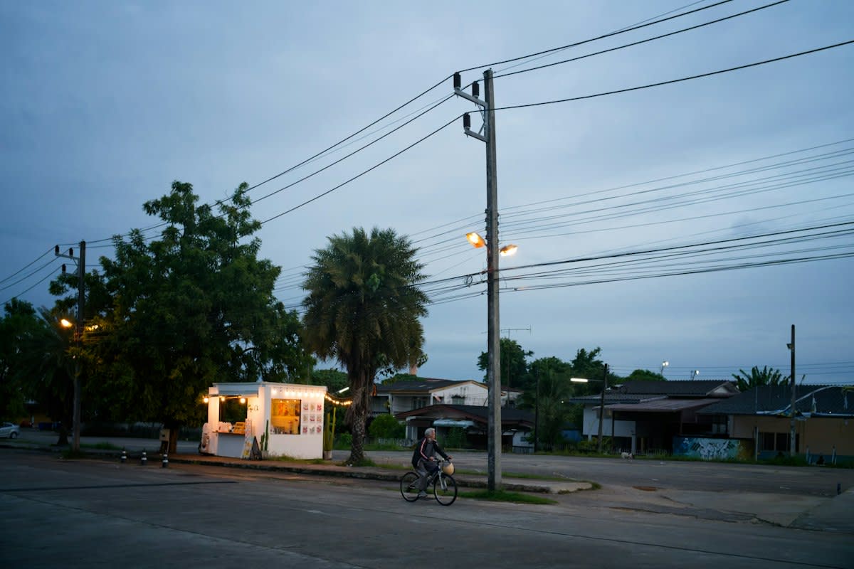 Overloaded power lines in a tropical setting
