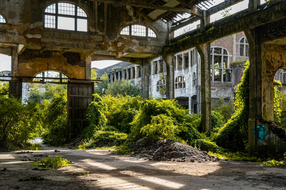 Abandoned corporate office building with overgrown weeds