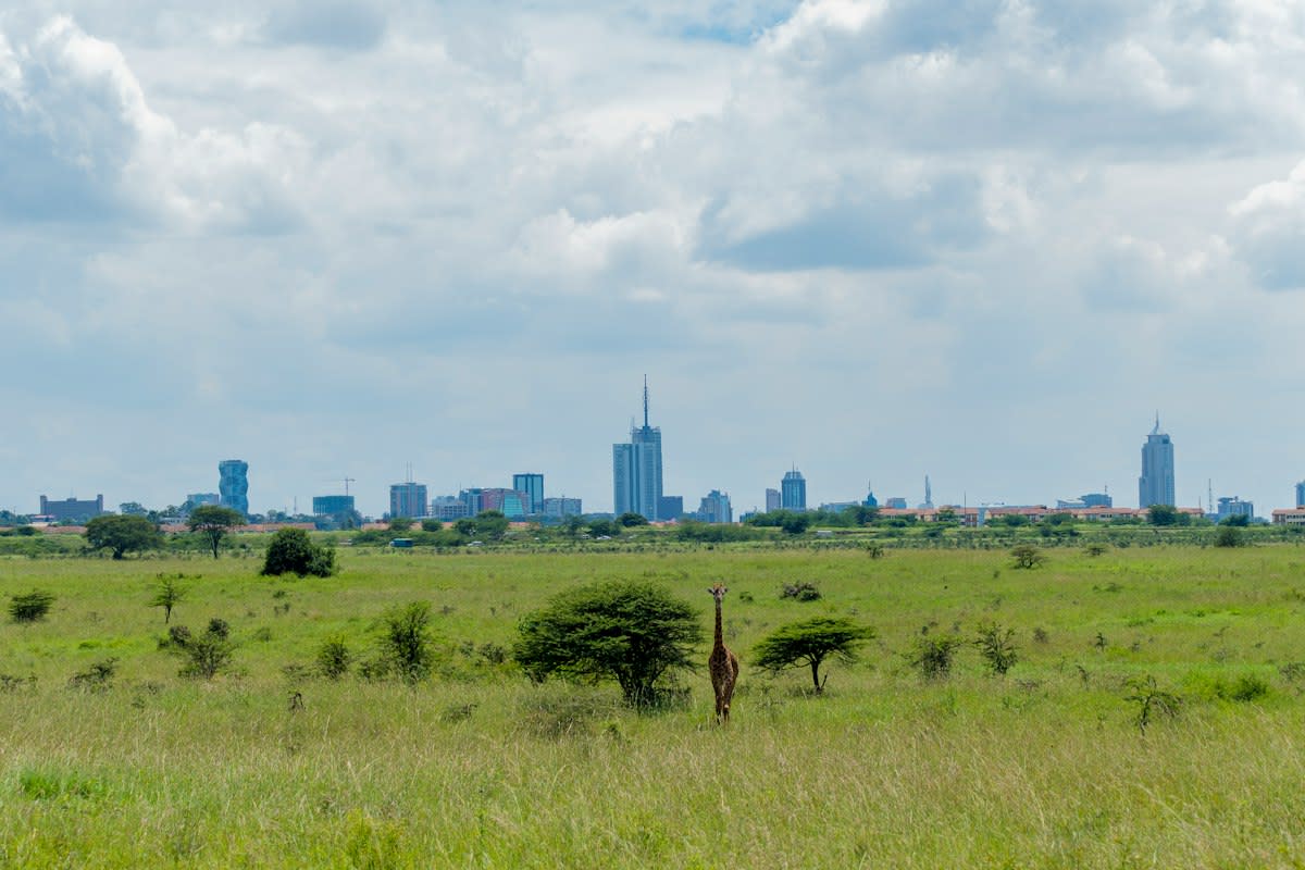 Nairobi urban agriculture and technology
