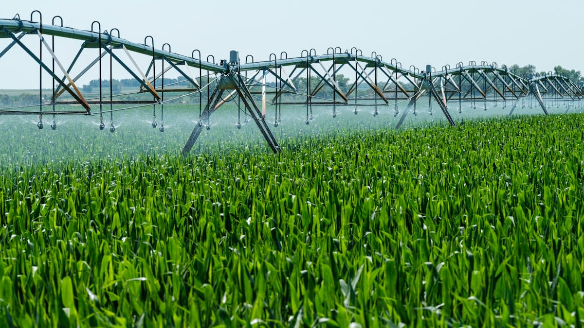 Precision irrigation in a field