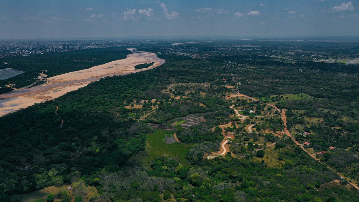 Aerial view of deforested land in the Amazon