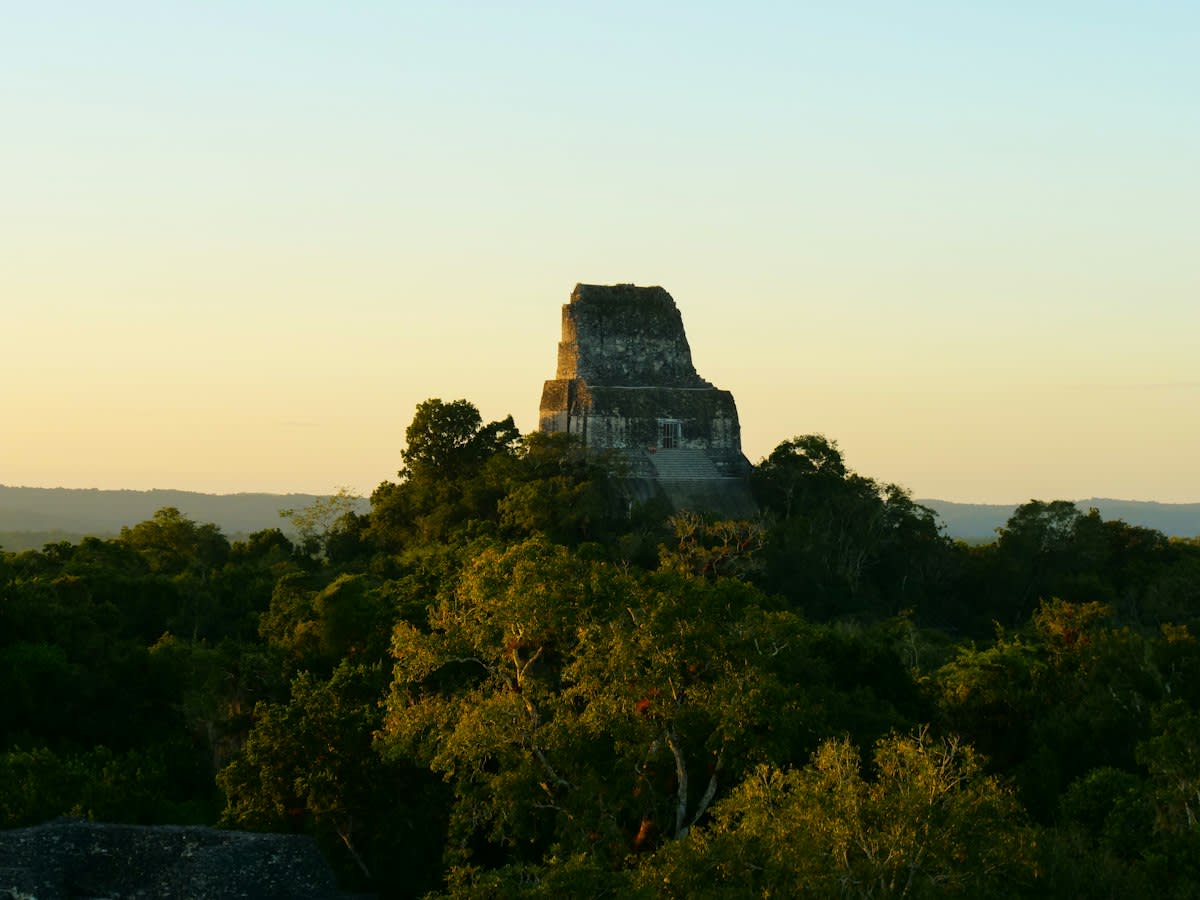Ancient Maya ruins Tikal jungle