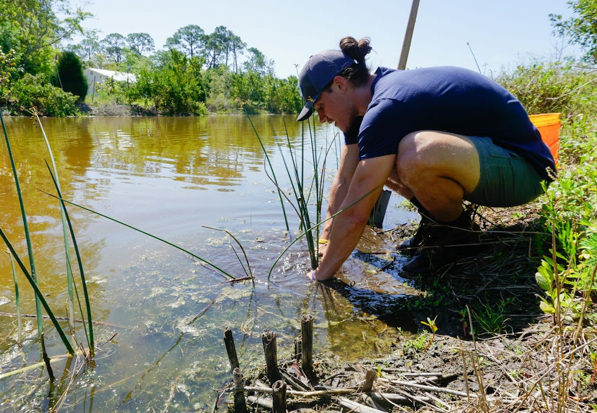 Water sampling in a river