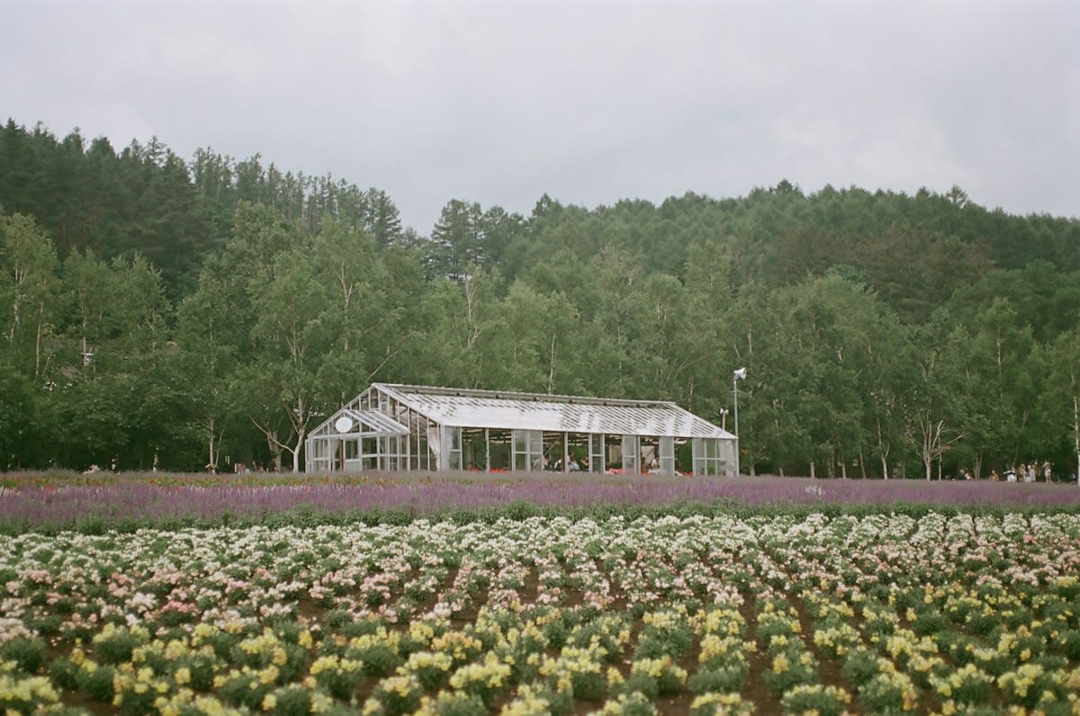 Smart agriculture sensors in a Japanese greenhouse