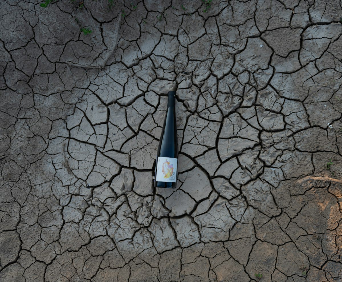 Dry cracked earth in a vineyard