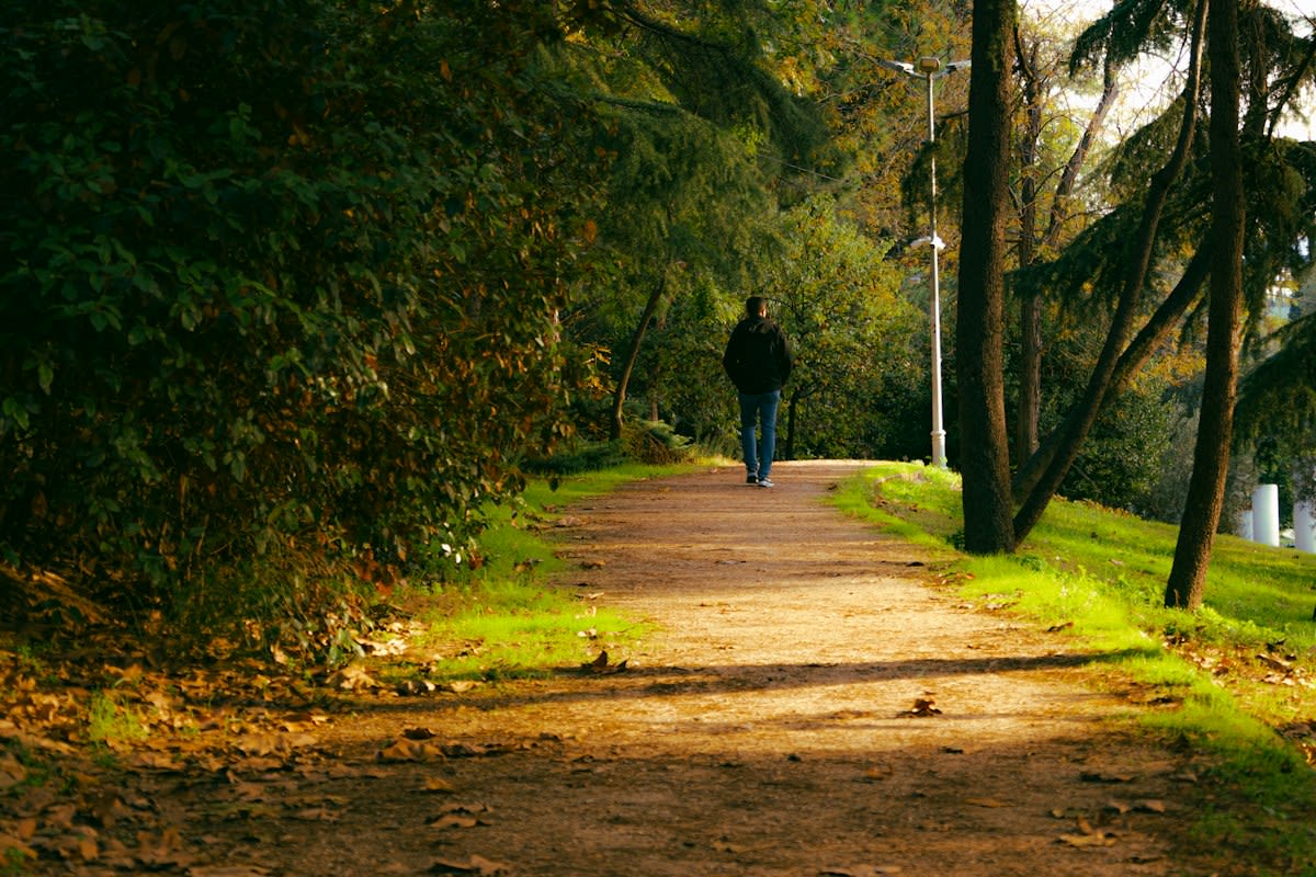 Person walking alone in a quiet natural path